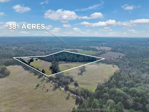 0 An County Road 153, Palestine, TX 75801