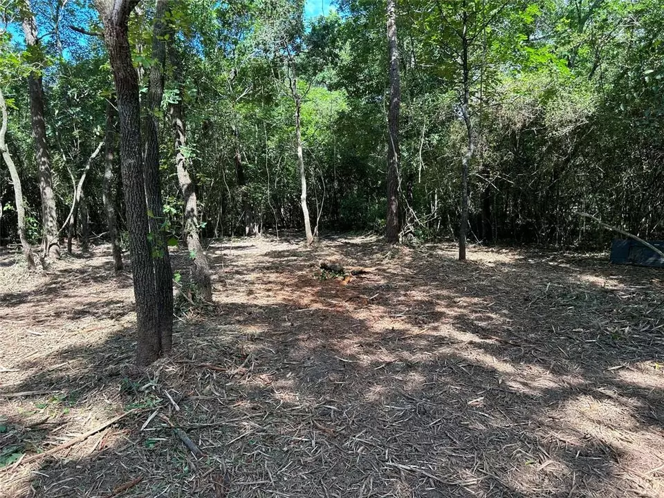  14942 Colt Ln, Willis, TX 77378 photo 3