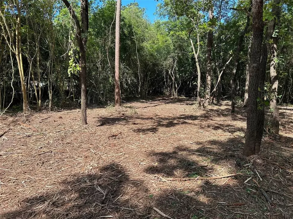  14942 Colt Ln, Willis, TX 77378 photo 4