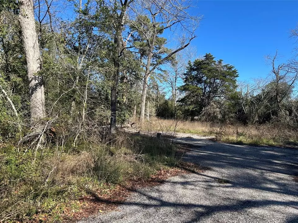  14942 Colt Ln, Willis, TX 77378 photo 6