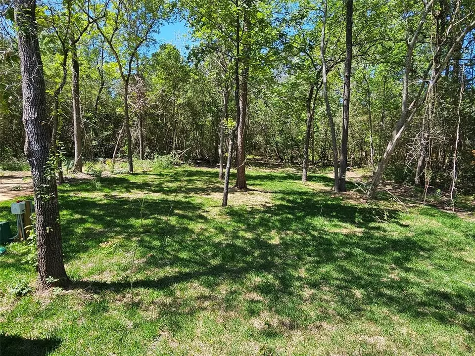  14942 Colt Ln, Willis, TX 77378 photo 2