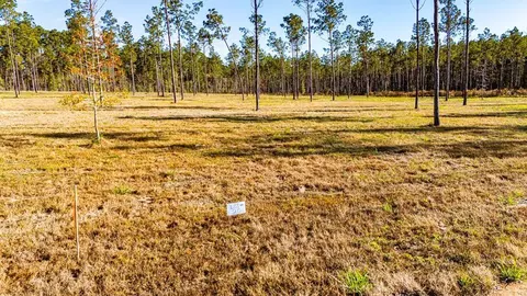 lot20 Big Buck Dr, Moscow, TX 75960