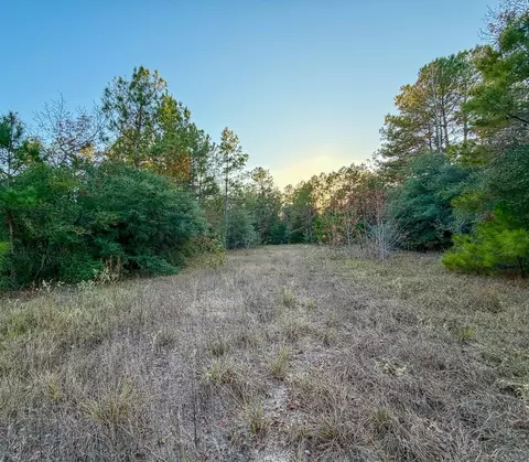 Other - 10662 Ruger Rd, Willis, TX 77378 photo 7 of 9