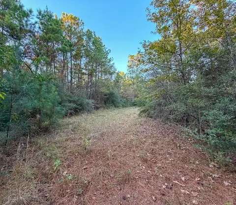Other - 10662 Ruger Rd, Willis, TX 77378 photo 9 of 9