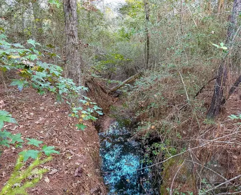 View/Area - 10662 Ruger Rd, Willis, TX 77378 photo 6 of 6