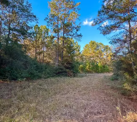 Other - 10662 Ruger Rd, Willis, TX 77378 photo 3 of 9