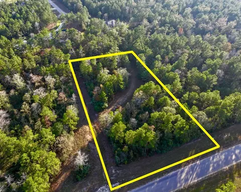 10662 Ruger Rd, Willis, TX 77378
