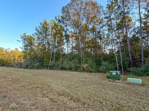 Other - 10662 Ruger Rd, Willis, TX 77378 photo 6 of 9