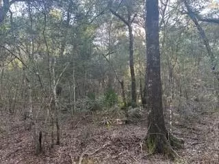 46 Texas 61, Devers, TX 77538 photo 6