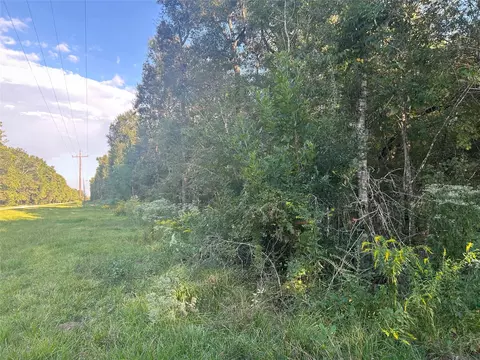 46 Texas 61, Devers, TX 77538 photo 3