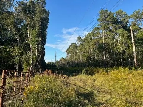 46 Texas 61, Devers, TX 77538 photo 10