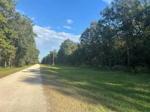 46 Texas 61, Devers, TX 77538