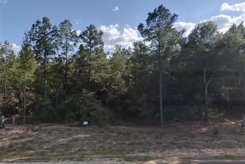 126 Exploration Rd, New Waverly, TX 77358