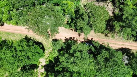 26605 Lake Shore Dr, Hempstead, TX 77445