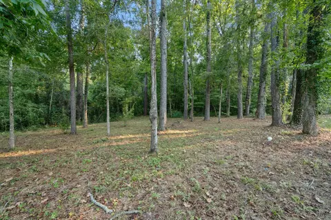 Exterior - 201 Harbor Run Dr, Coldspring, TX 77331 photo 6 of 8