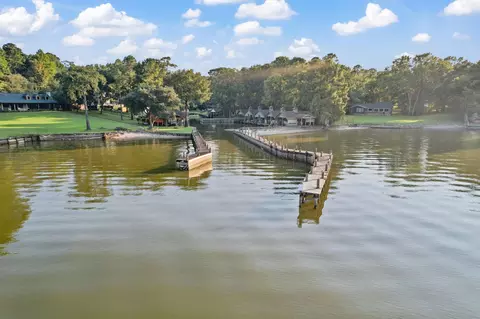 View/Area - 201 Harbor Run Dr, Coldspring, TX 77331 photo 5 of 6