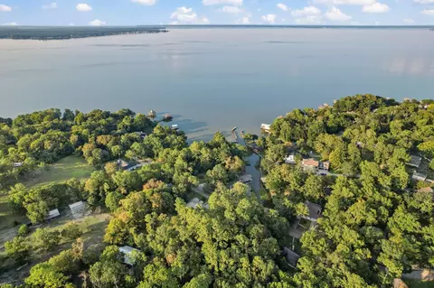 View/Area - 201 Harbor Run Dr, Coldspring, TX 77331 photo 3 of 6