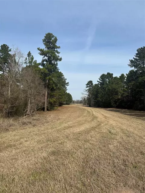 tbd Cresent Farm Ln, Trinity, TX 75862 photo 6