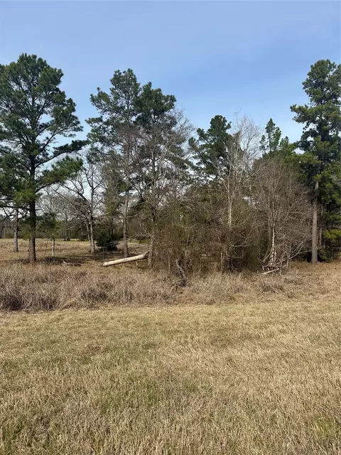 tbd Cresent Farm Ln, Trinity, TX 75862 photo 9