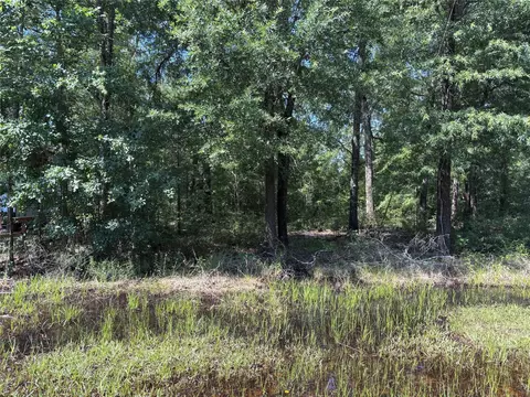 0 Southland, Livingston, TX 77351
