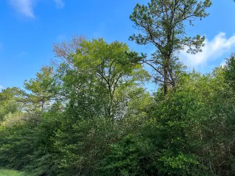 00 Fm 2989, Huntsville, TX 77320