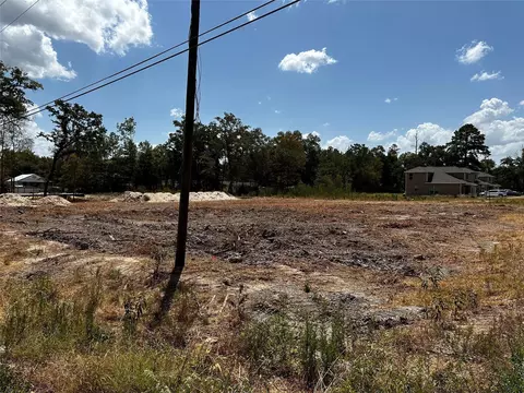 17123 Spindle Oaks Dr, Conroe, TX 77385 photo 3