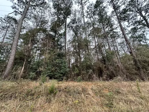 tbd The Ole Don Rd, Livingston, TX 77351