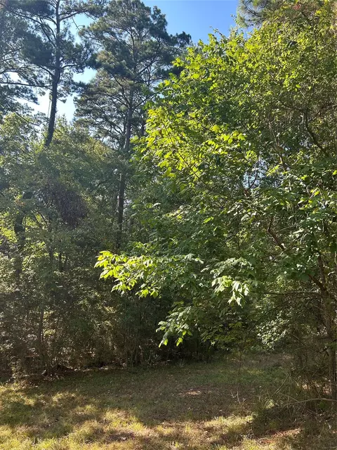 1327 Joanna Hl, Livingston, TX 77351