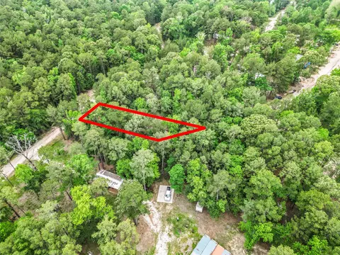 View/Area - 479 S Settlers Way, Trinity, TX 75862 photo 3 of 6