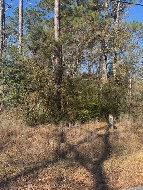 tbd Sycamore Dr, Montgomery, TX 77356