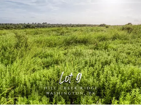 lot9 Hargrove Ln, Washington, TX 77880