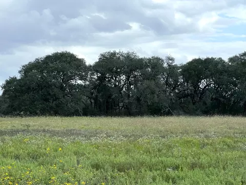 Tr 4 Dancing Deer, Altair, TX 77412