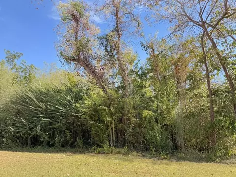 tbd Riverview Dr, Coldspring, TX 77331