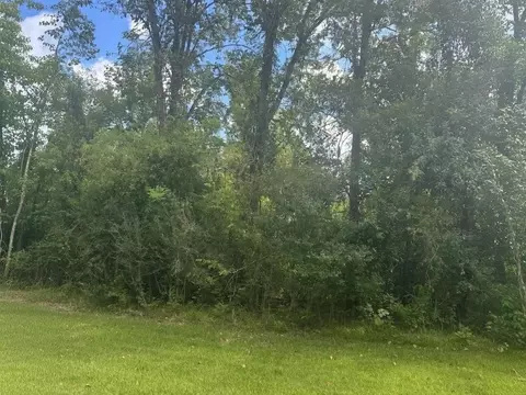 tbd Riverview Dr, Coldspring, TX 77331 photo 4