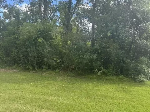 tbd Riverview Dr, Coldspring, TX 77331 photo 3