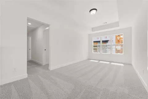 Other - 4423 Ruby Garden Ct, Fulshear, TX 77441 photo 3 of 5