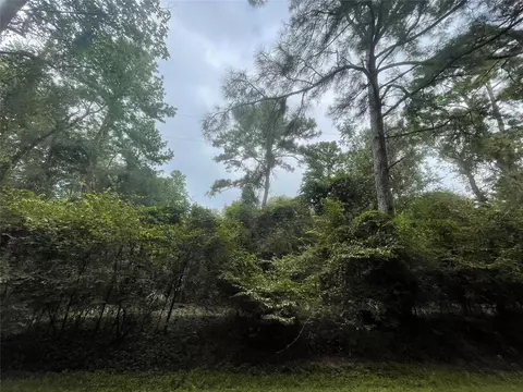 3440 Corolla Rd, Magnolia, TX 77354