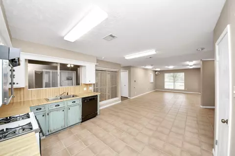 Other - 30202 E Geneva Dr, Spring, TX 77386 photo 11 of 13