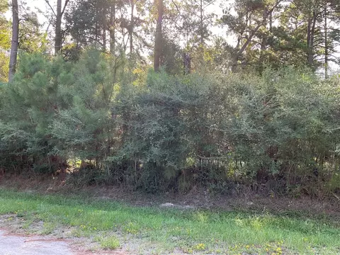 13 Cedar Spgs, Trinity, TX 75862 photo 6