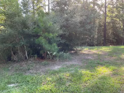 13 Cedar Spgs, Trinity, TX 75862 photo 7