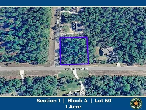15712 Republic Ranch Rd N, Willis, TX 77378