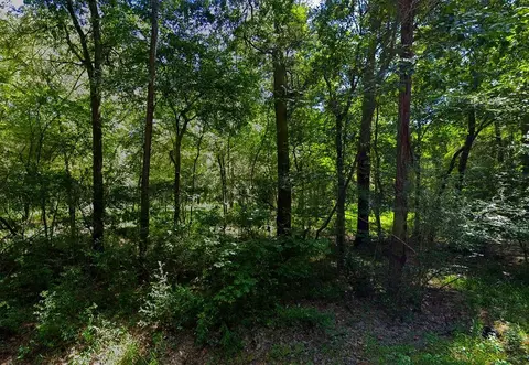 0 Pine Creek Rd, Hockley, TX 77447