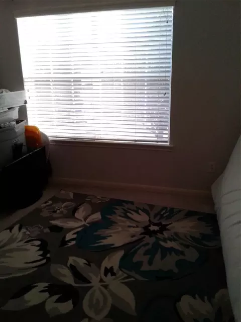 Other - 2407 Pinpoint Dr, Spring, TX 77373 photo 3 of 4
