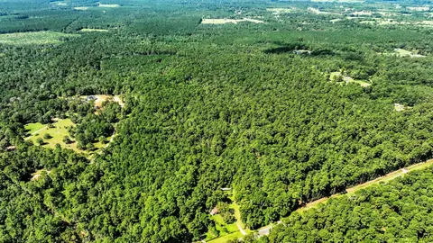 tbd Shepard Ln, Coldspring, TX 77331 photo 3