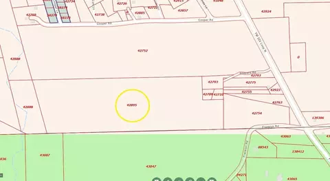 tbd Shepard Ln, Coldspring, TX 77331 photo 7