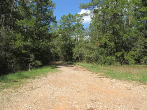 2223 Crysel Rd, Cleveland, TX 77328