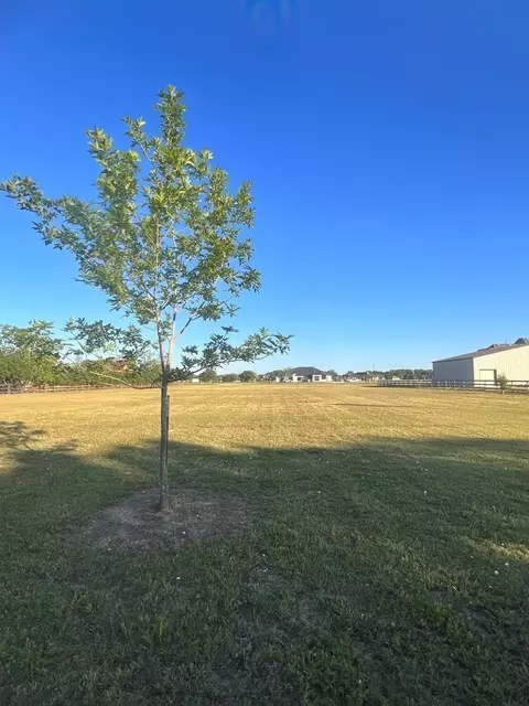 13702 Lakeview Meadow Dr, Richmond, TX 77469