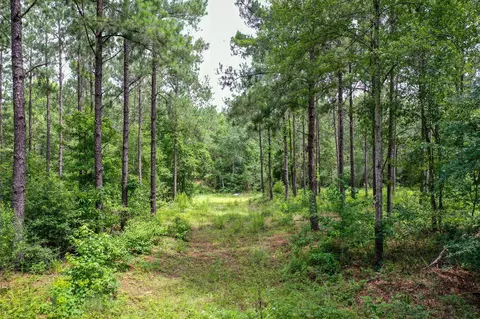 15 573 Ac Cr 1050, Crockett, TX 75835