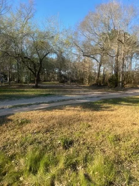 12125 Oak Leaf Rd, Conroe, TX 77303 photo 1
