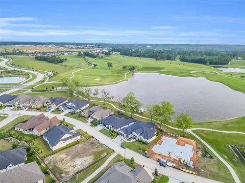 View/Area - 9727 Greenridge View Dr, Willis, TX 77318 photo 4 of 10